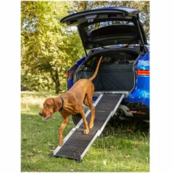 Jaguar Haustierrampe I-Pace