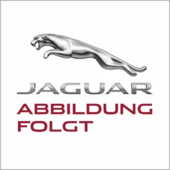 Jaguar I-Pace Dachgepäckbox