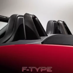 Jaguar Überrollbügel In Carbon - F-Type