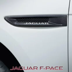 Jaguar Seitliche Luftauslässe - Karbon F-Pace